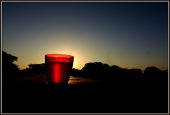 IIP Online Student Photography