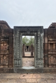 IIP Online Student Photography
