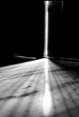IIP Online Student Photography
