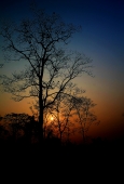 IIP Online Student Photography