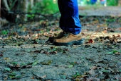 IIP Online Student Photography
