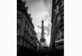 IIP Online Student Photography