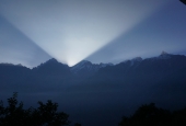 IIP Online Student Photography