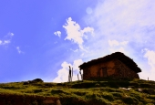 IIP Online Student Photography