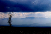 IIP Online Student Photography