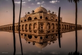 IIP Online Student Photography