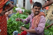 IIP Online Student Photography