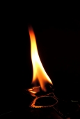 IIP Online Student Photography