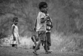 IIP Online Student Photography