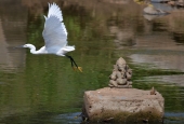 IIP Online Student Photography