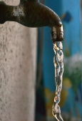 IIP Online Student Photography
