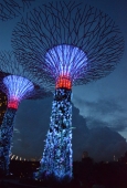 IIP Online Student Photography