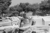 IIP Online Student Photography