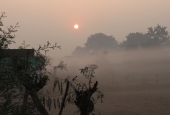 IIP Online Student Photography