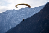 IIP Online Student Photography