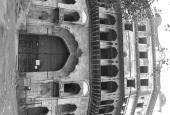 IIP Online Student Photography