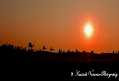 IIP Online Student Photography
