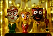 IIP Online Student Photography