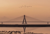 IIP Online Student Photography