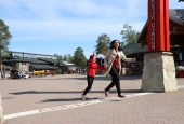 IIP Online Student Photography