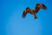 IIP Online Student Photography