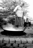 IIP Online Student Photography