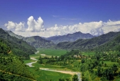 IIP Online Student Photography
