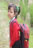 IIP Online Student Photography