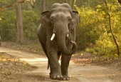 IIP Online Student Photography