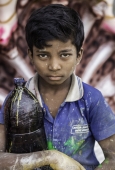 IIP Online Student Photography