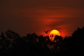 IIP Online Student Photography