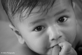 IIP Online Student Photography