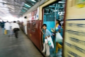 IIP Online Student Photography