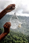IIP Online Student Photography