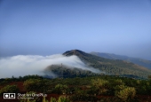 IIP Online Student Photography