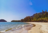 IIP Online Student Photography