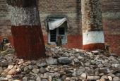 IIP Online Student Photography