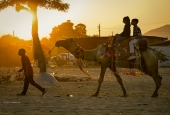 IIP Online Student Photography