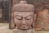 IIP Online Student Photography