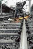 IIP Online Student Photography