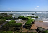 IIP Online Student Photography
