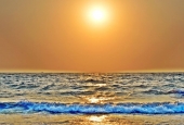 IIP Online Student Photography