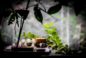 IIP Online Student Photography