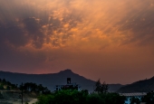 IIP Online Student Photography