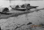 IIP Online Student Photography