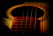 IIP Online Student Photography