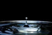 IIP Online Student Photography