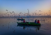 IIP Online Student Photography