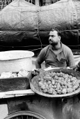 IIP Online Student Photography