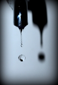 IIP Online Student Photography